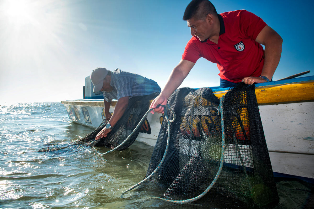 Pesca artesanal y pulpeo
